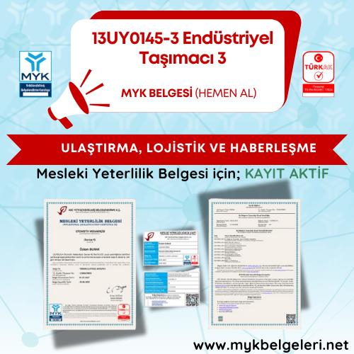 Endüstriyel Taşımacı Seviye 3