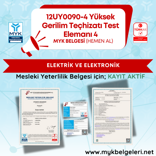 Yüksek Gerilim Teçhizatı Test Elemanı Seviye 4